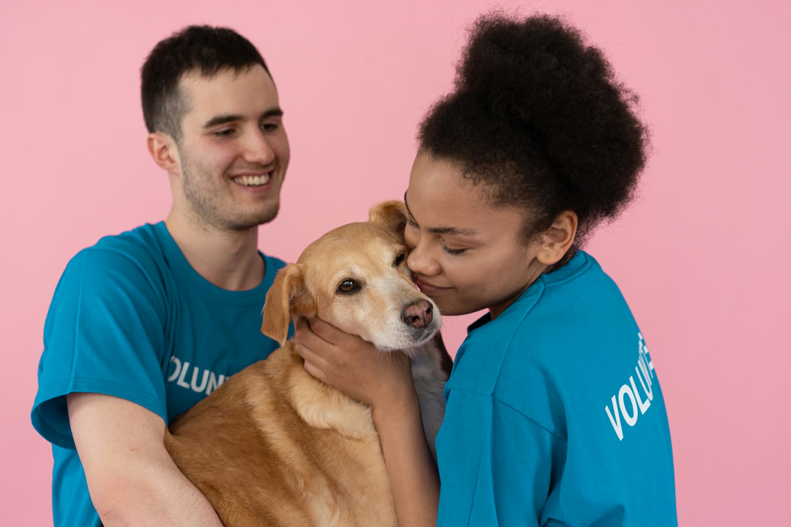 Building Your Pet Care Team