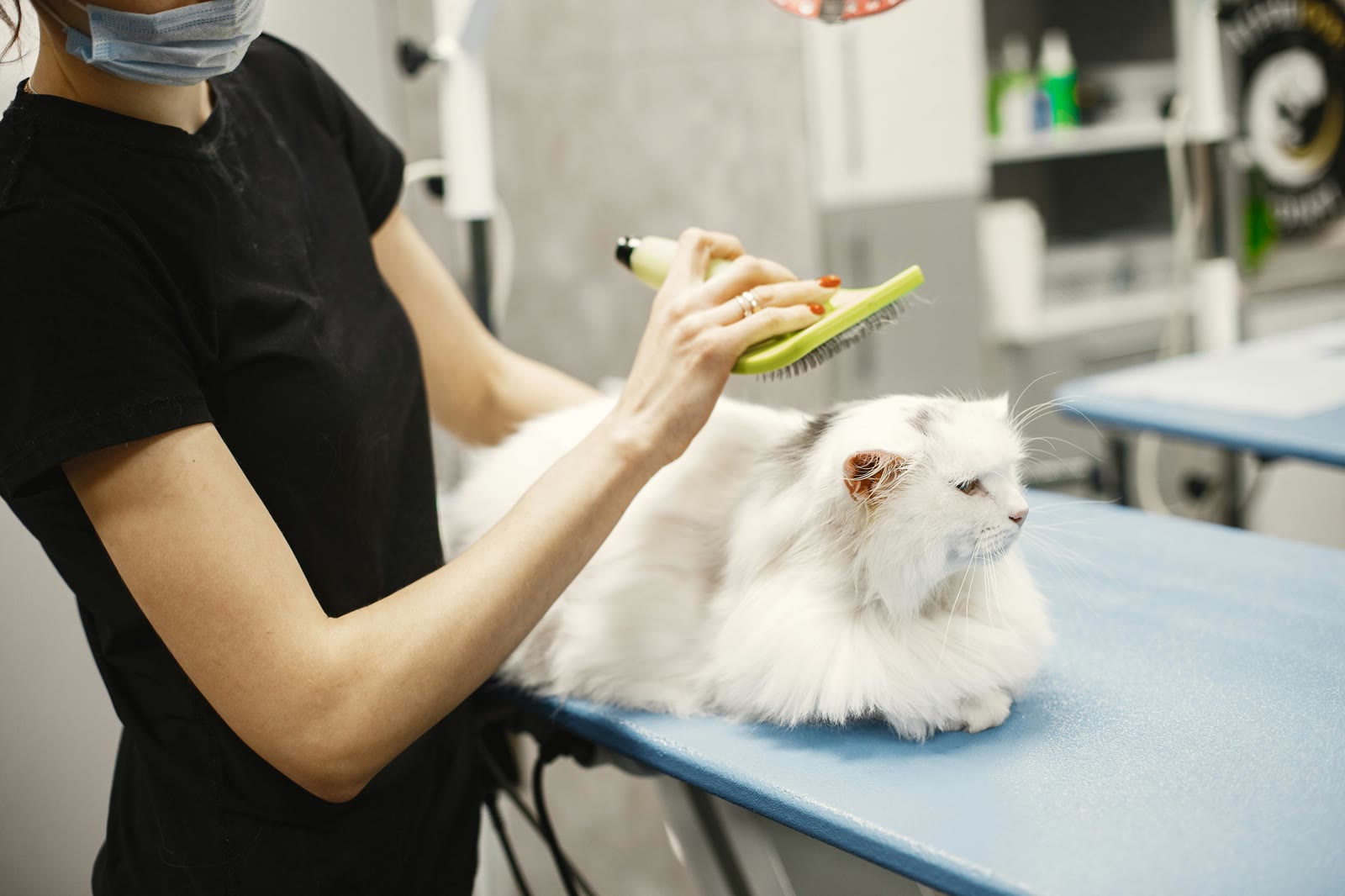 Getting Started with Pet Health Tracking