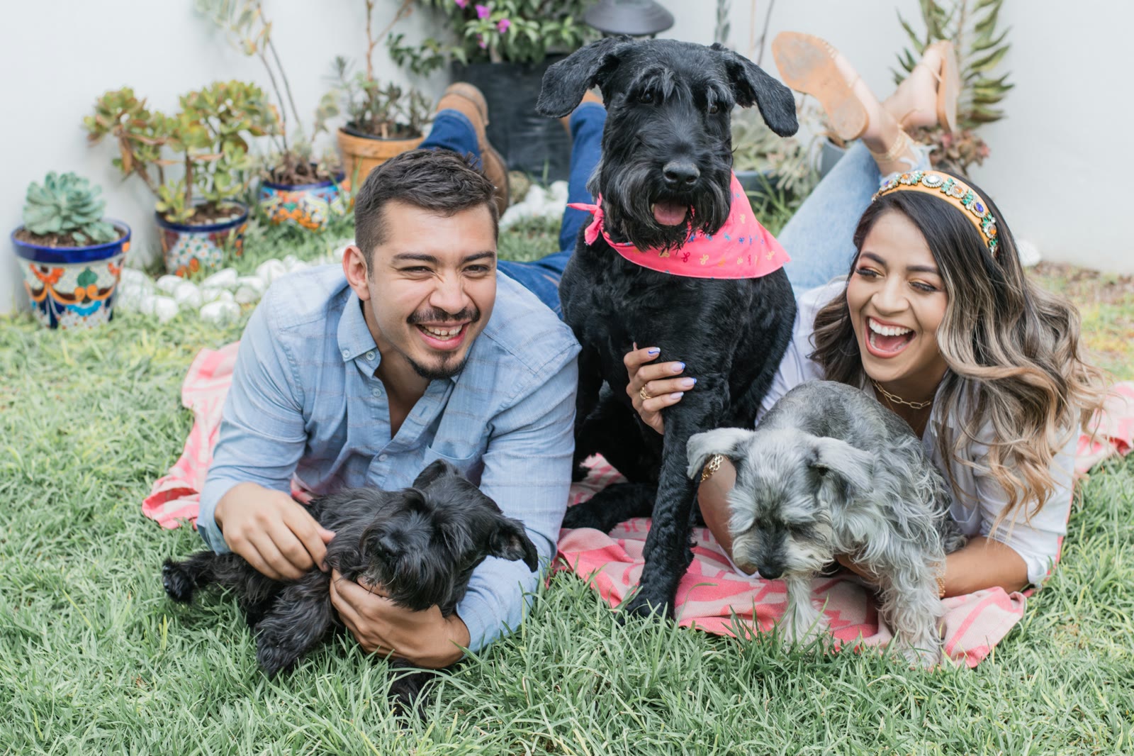 Your Pet's Year in Review: Using Health Data to Plan Better Care