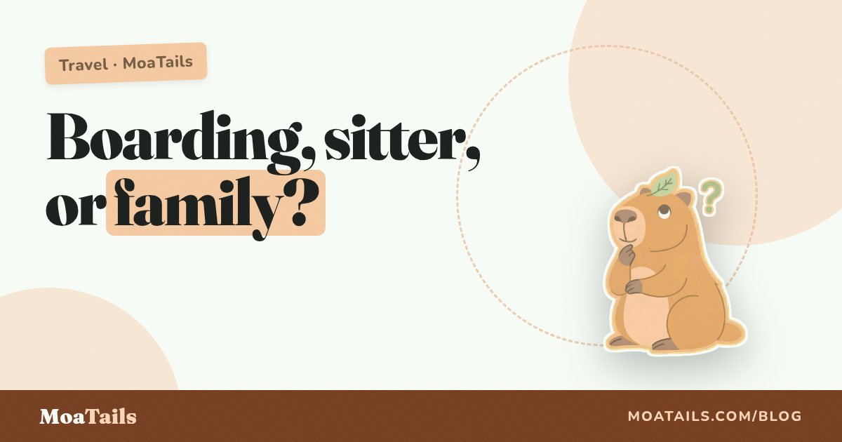 Boarding vs Pet Sitter vs Family: An Honest Decision Guide
