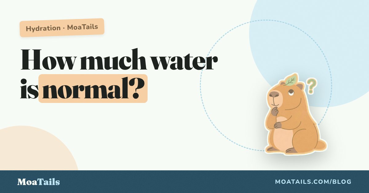 How Much Water Should a Dog Drink? (And the Day It Suddenly Isn't Normal)