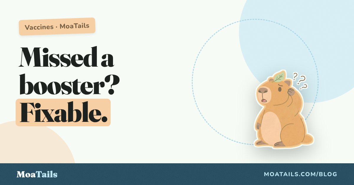 Missed a Booster? What Actually Happens (and What to Do)