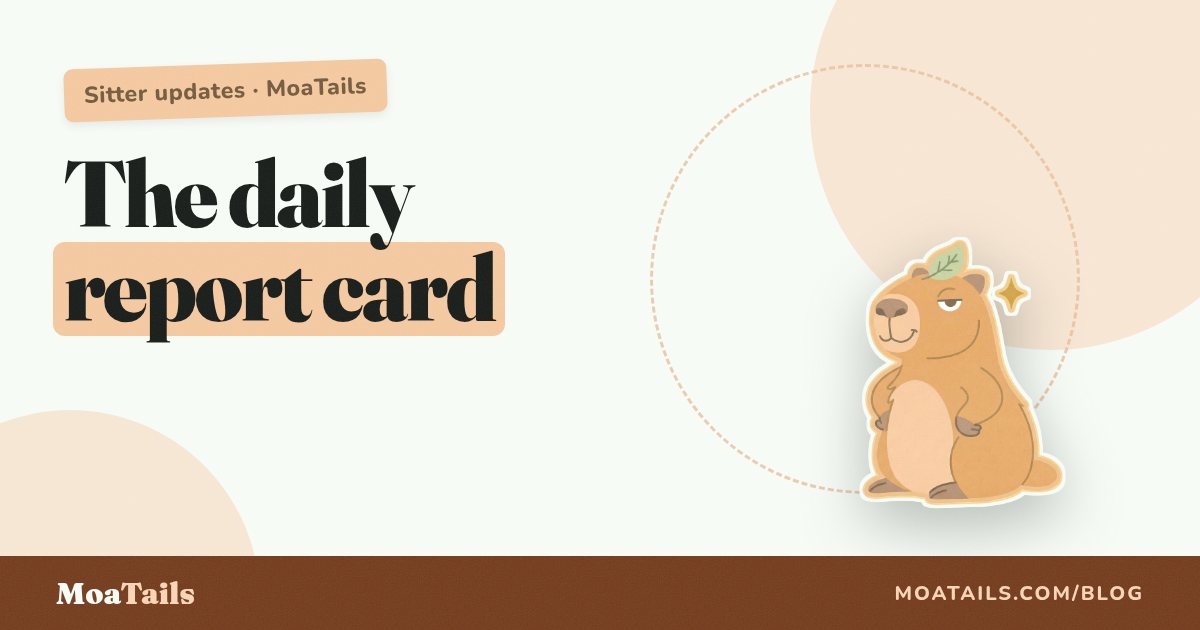 The Daily Report Card: What a Good Sitter Update Actually Looks Like