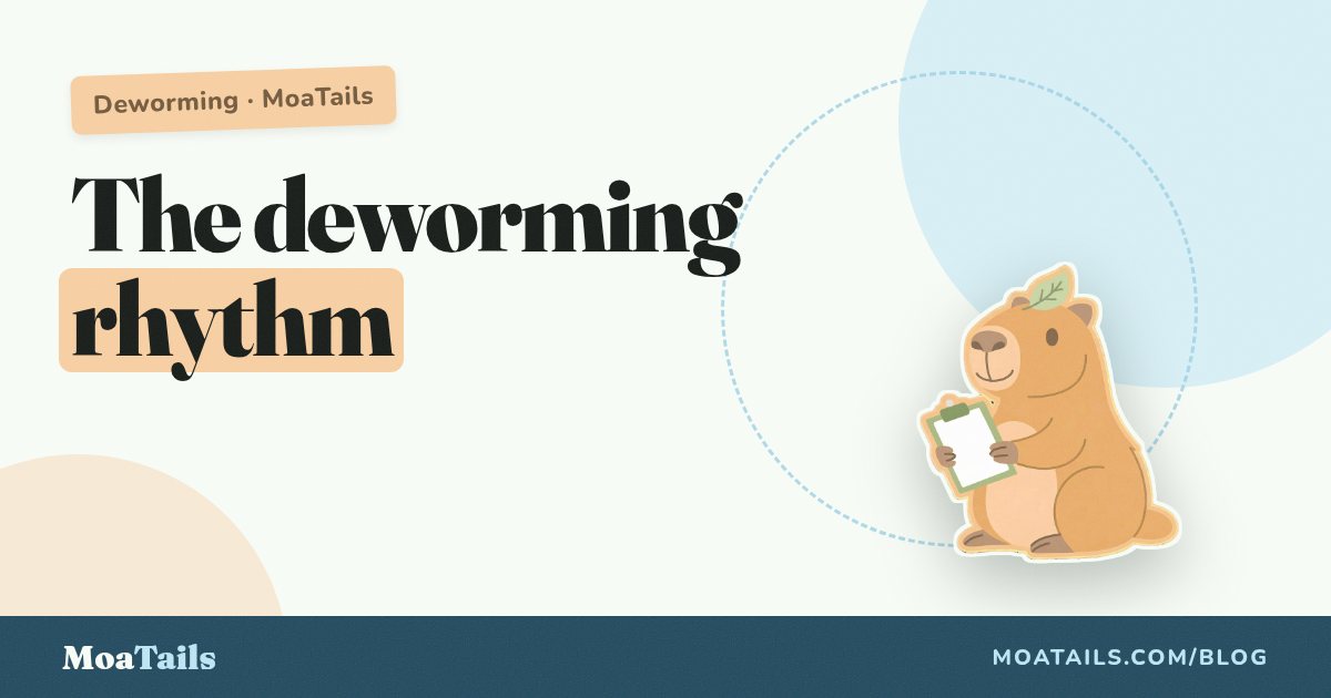 Puppy Deworming: The Schedule Behind the Schedule