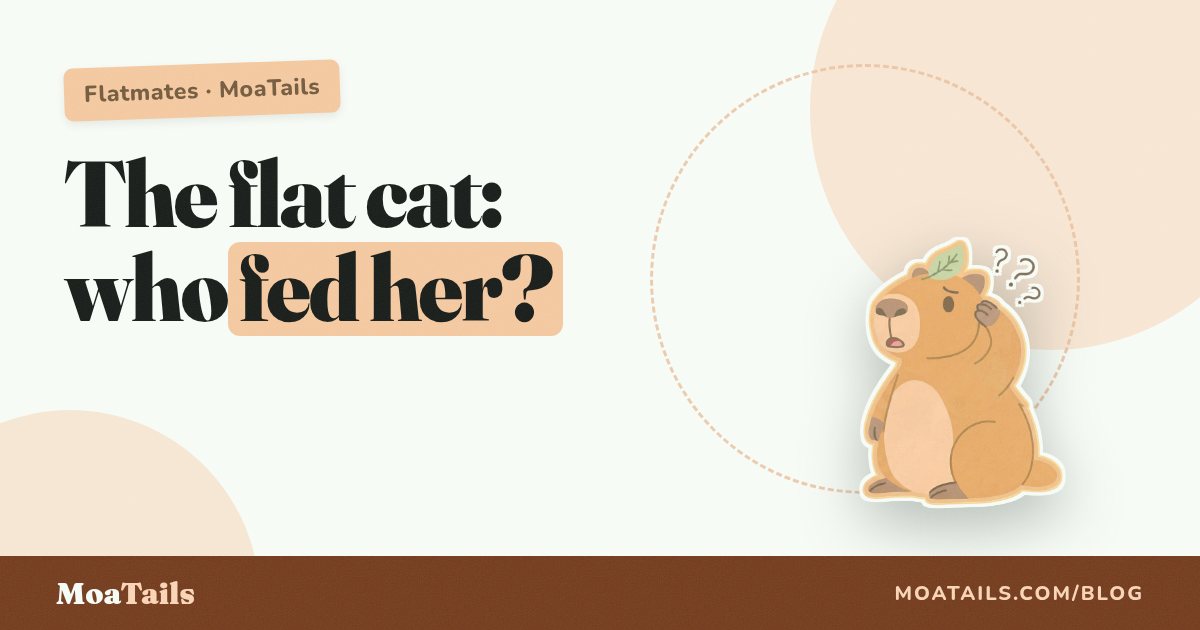 Roommates With a Shared Cat: Who Scooped, Who Fed, Who Knows