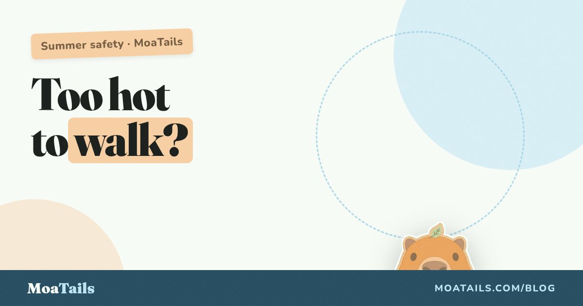 How Hot Is Too Hot to Walk Your Dog? The Summer Math