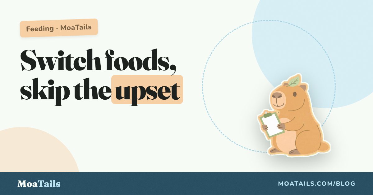 How to Switch Dog Food Without the Upset Tummy: The 7-Day Blend